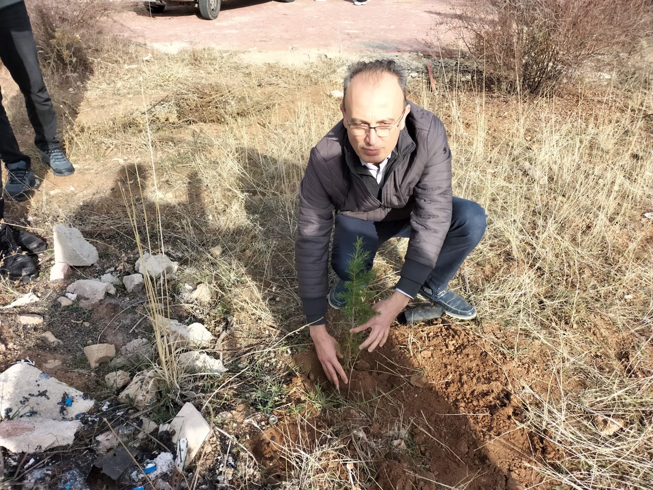 Her Çalışan Bir Fidan